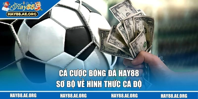 Sơ bộ về cá cược bóng đá tại HAY88