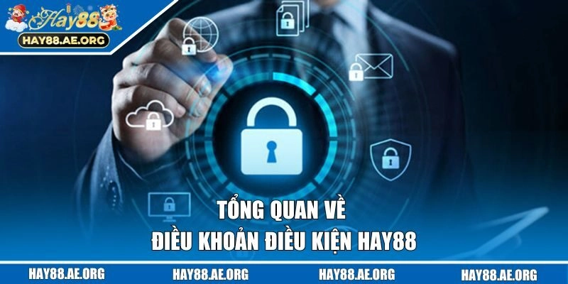 Tổng quan về điều khoản điều kiện HAY88